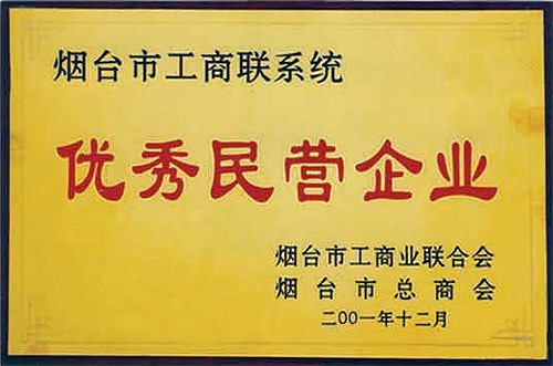 優(yōu)秀民營企業(yè)
